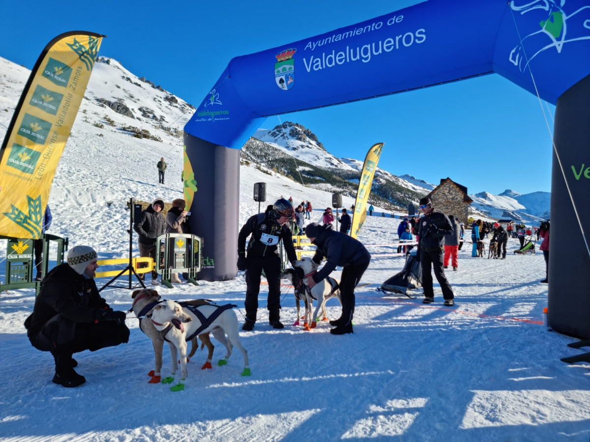 Campeonato mushing vegarada 2023 15