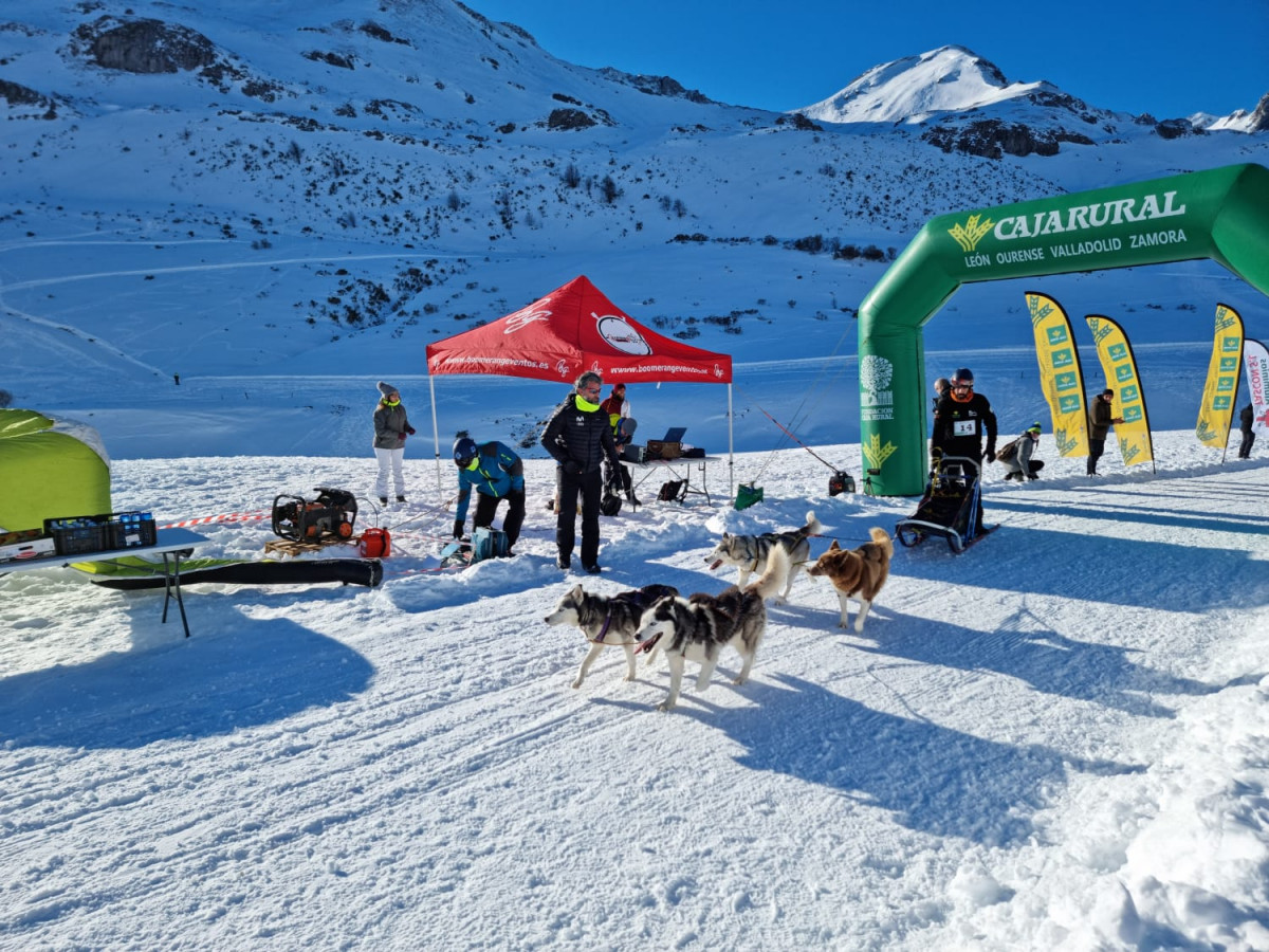 Campeonato mushing vegarada 2023 5