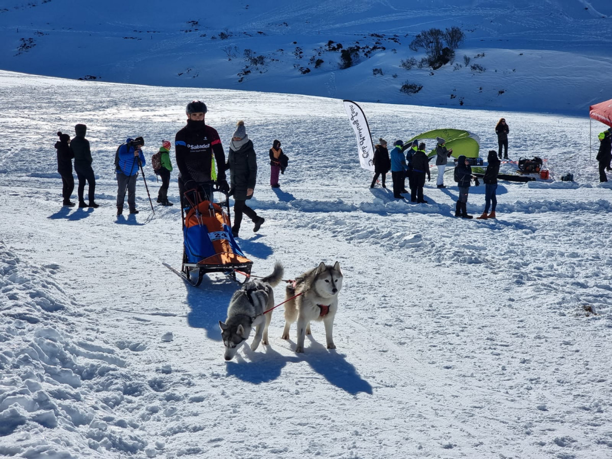 Campeonato mushing vegarada 2023 1