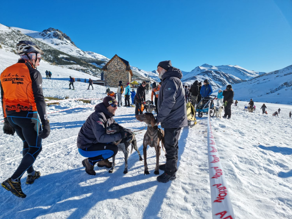 Campeonato mushing vegarada 2023 4