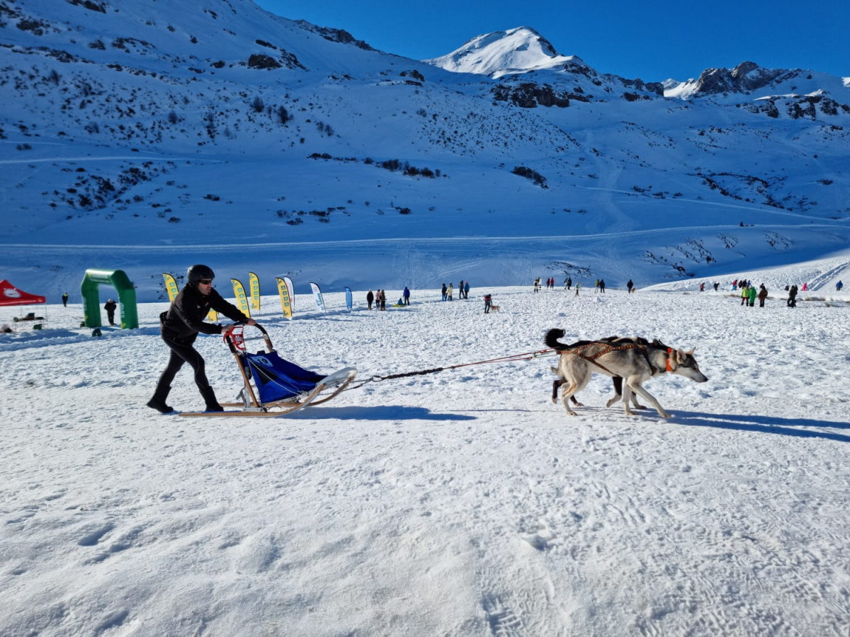 Campeonato mushing vegarada 2023 2