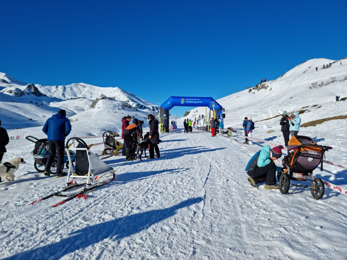 Campeonato mushing vegarada 2023 3