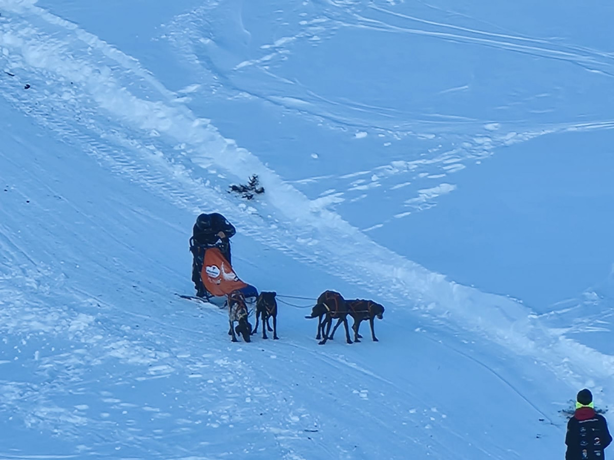 Campeonato mushing vegarada 2023 7