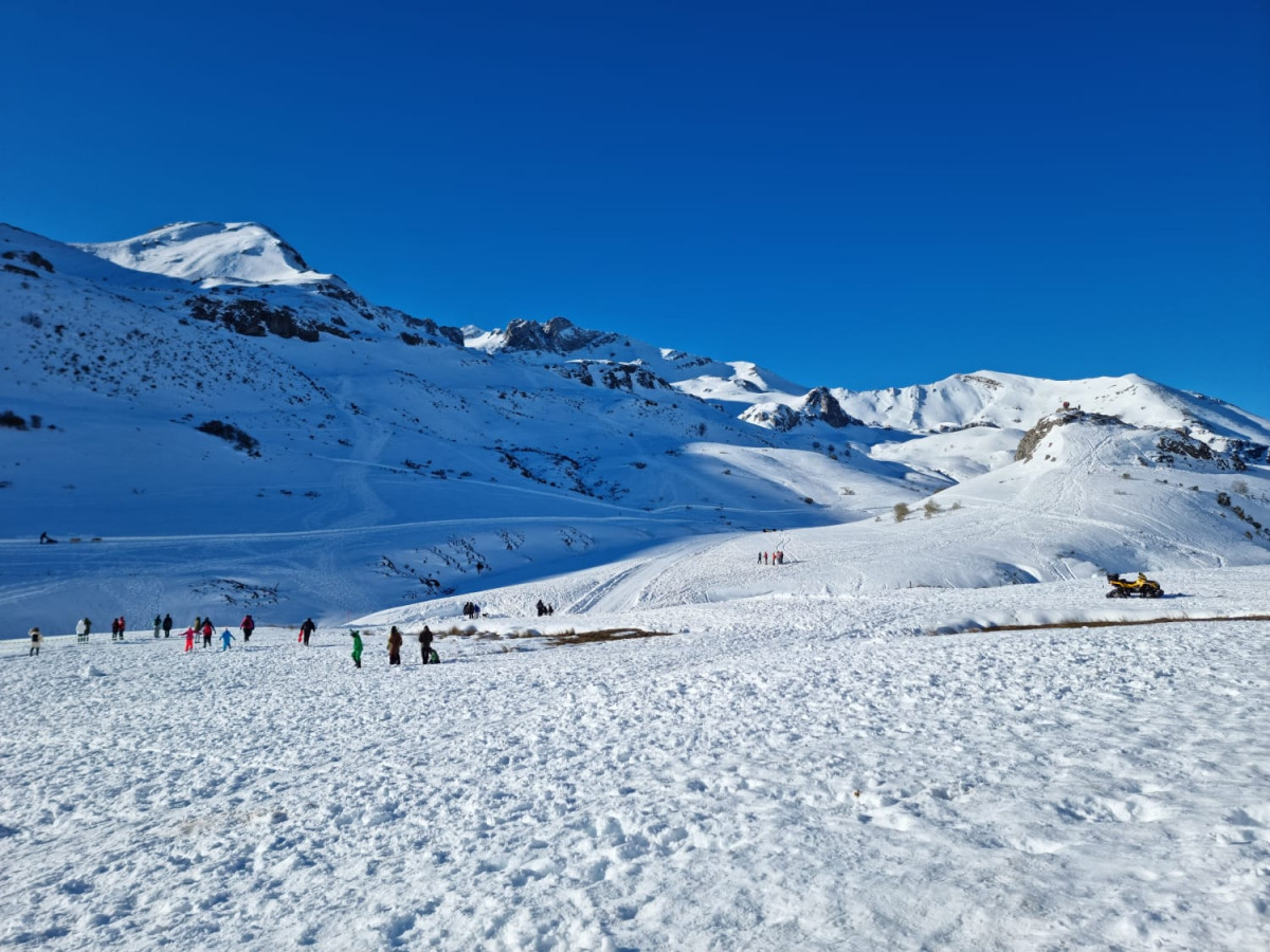 Campeonato mushing vegarada 2023 22