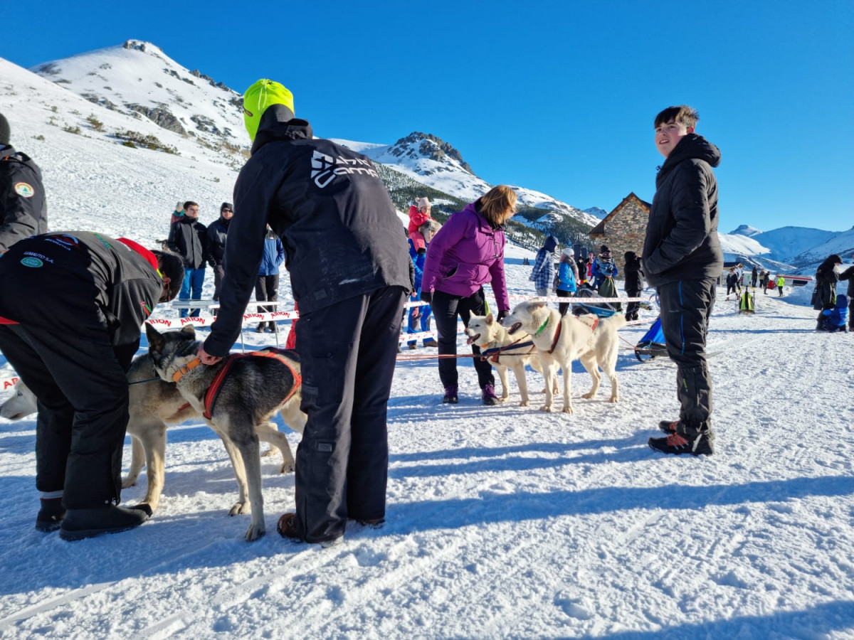 Campeonato mushing vegarada 2023 25