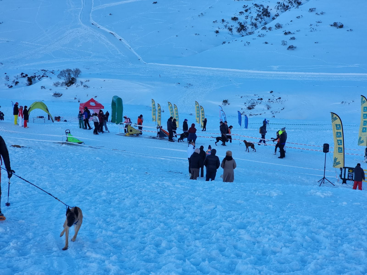 Campeonato mushing vegarada 2023 19