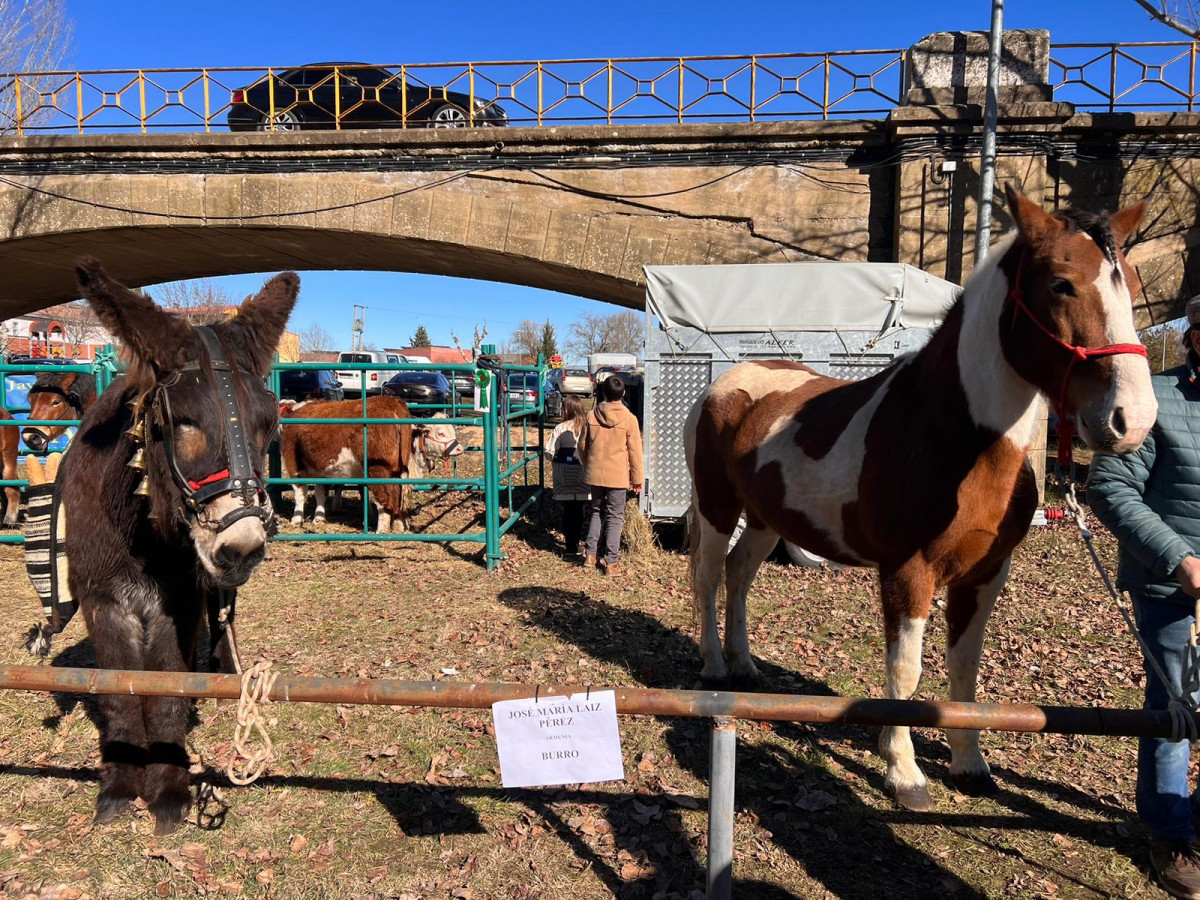 Feria san blas gradefes 2023 iris viu00f1uela (16)