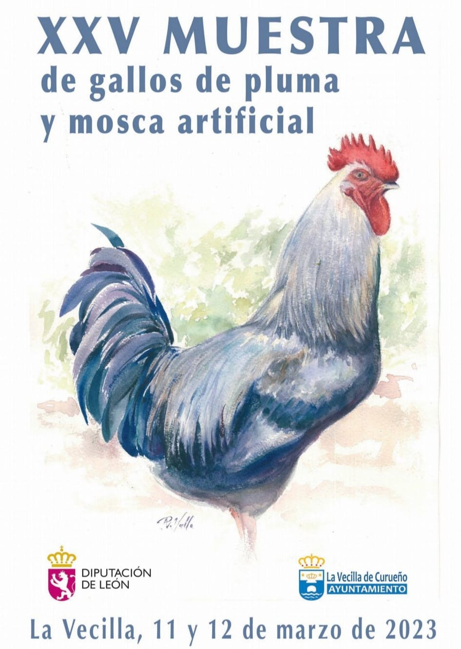 Cartel muestra de gallos de pluma y mosca la vecilla