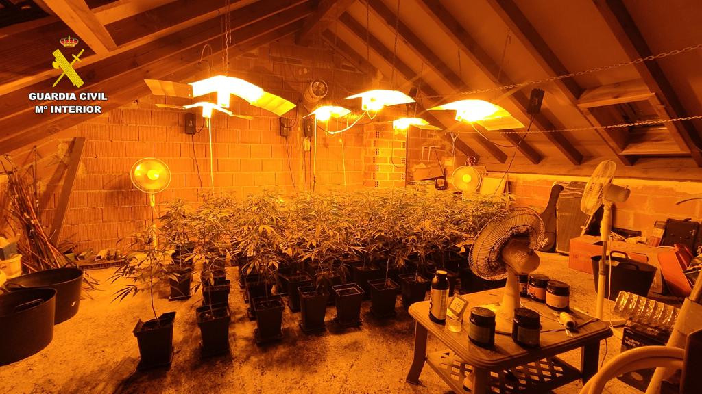 Plantacion marihuana indoor