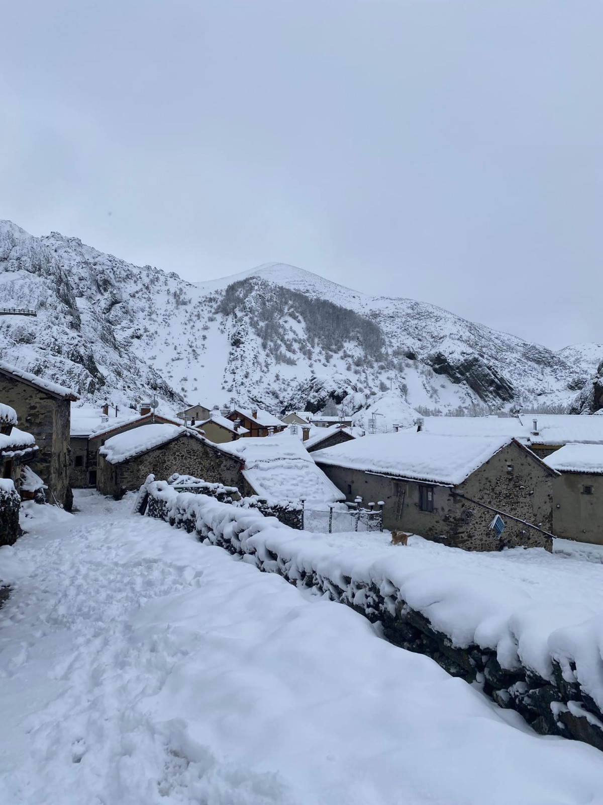 Portilla de la reina   el invernal de picos