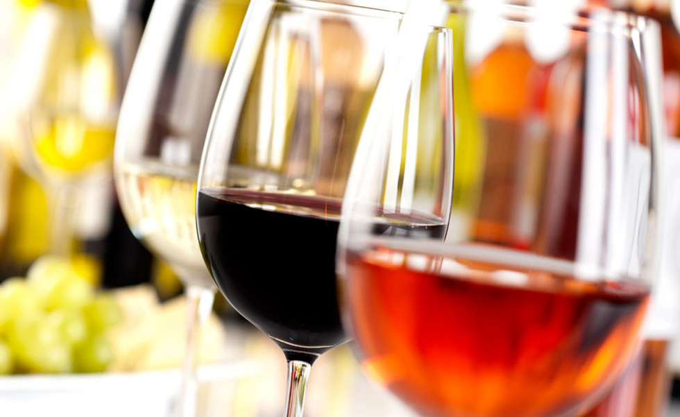 Do tierra de leon vinos