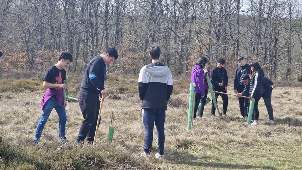 Repoblaciu00f3n voluntarios bosque san pedro de cansoles (4)