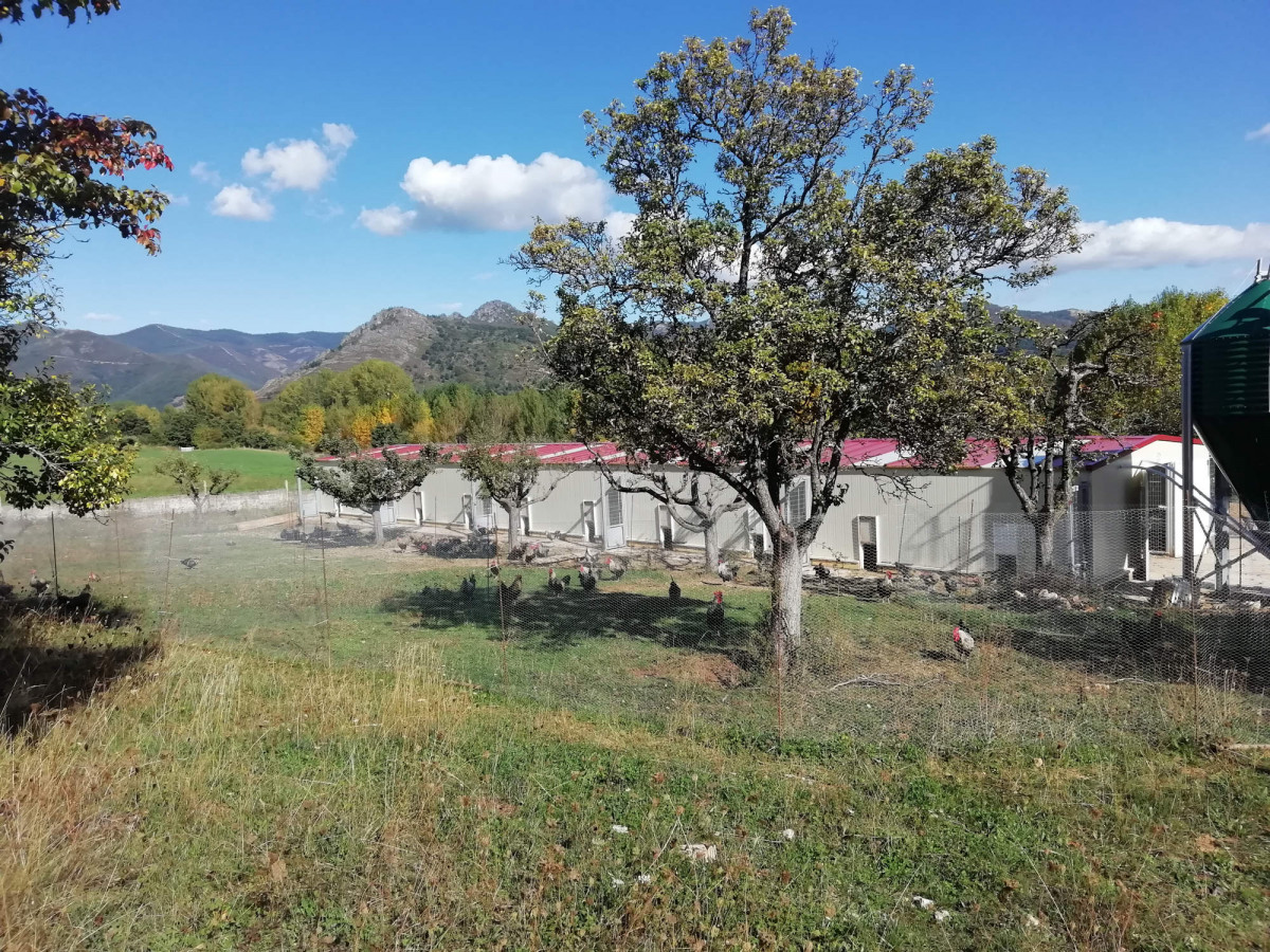 Granja primavera