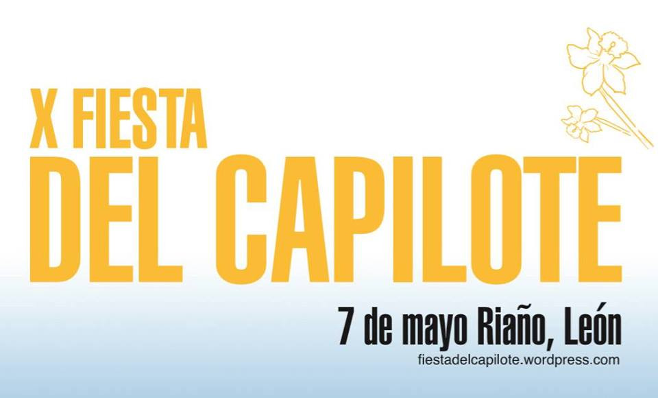 Riaocapilote20163
