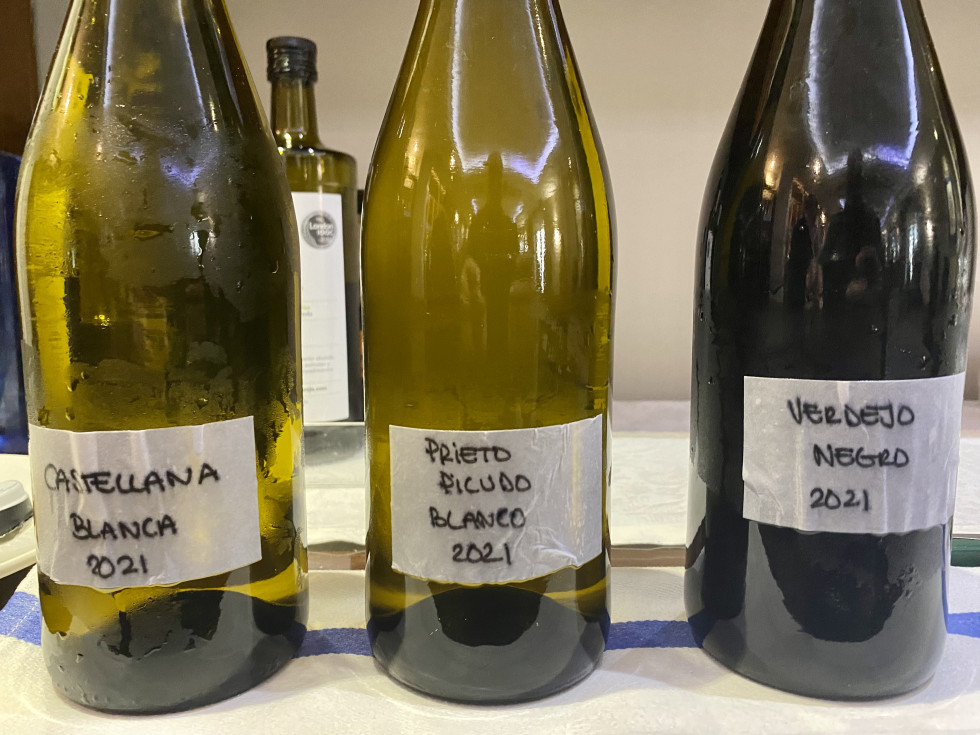 Muestra de venificación experimental de Prieto Picudo blanca