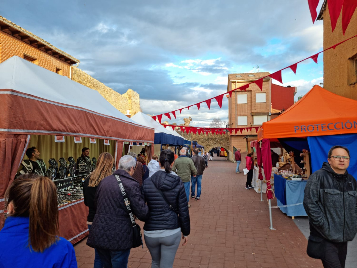 Mercado medieval almanza 2023 7