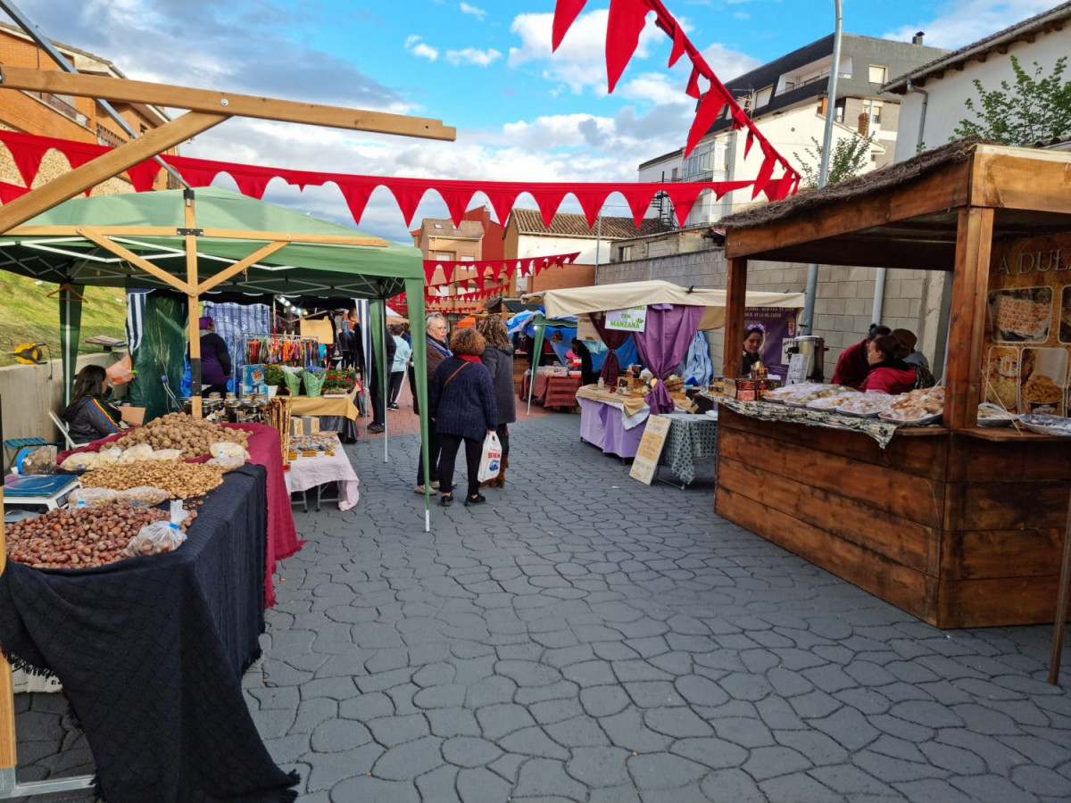 Mercado medieval almanza 2023 10