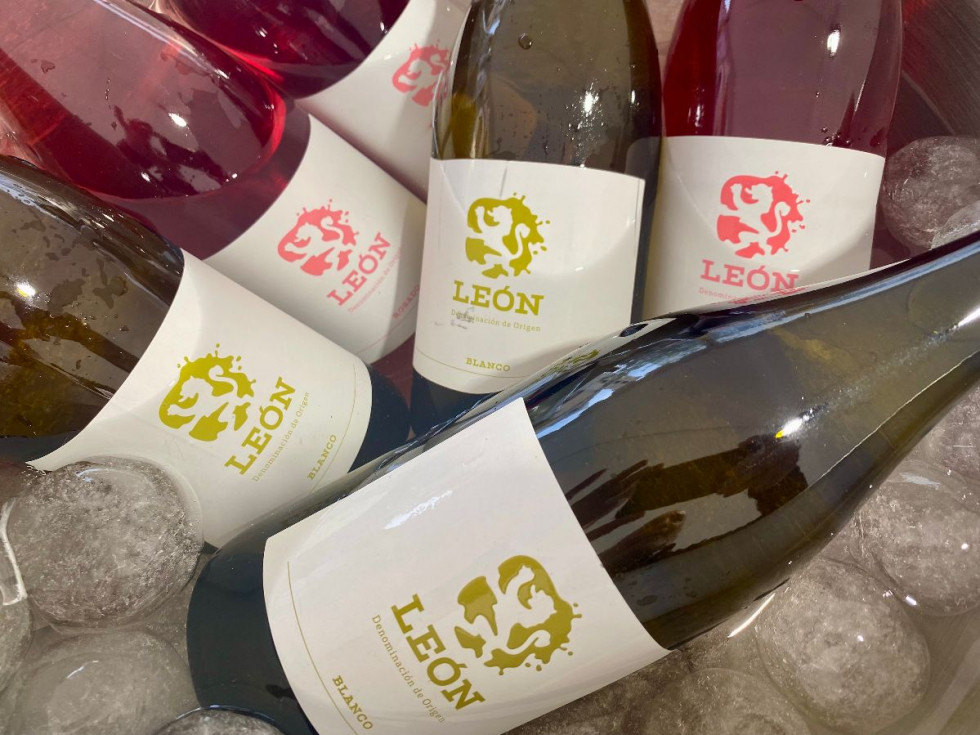 Botellas genéricas vinos DO Leon
