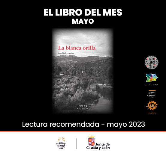 Libro web