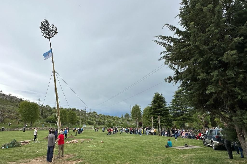 Pinada del mayo velilla 2023 7