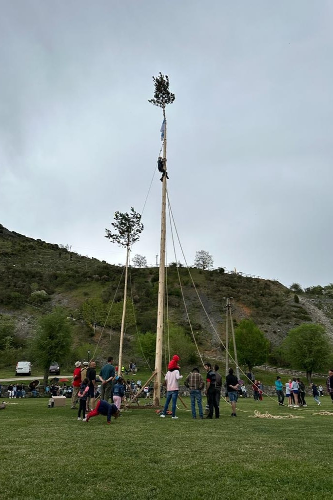 Pinada del mayo velilla 2023 8