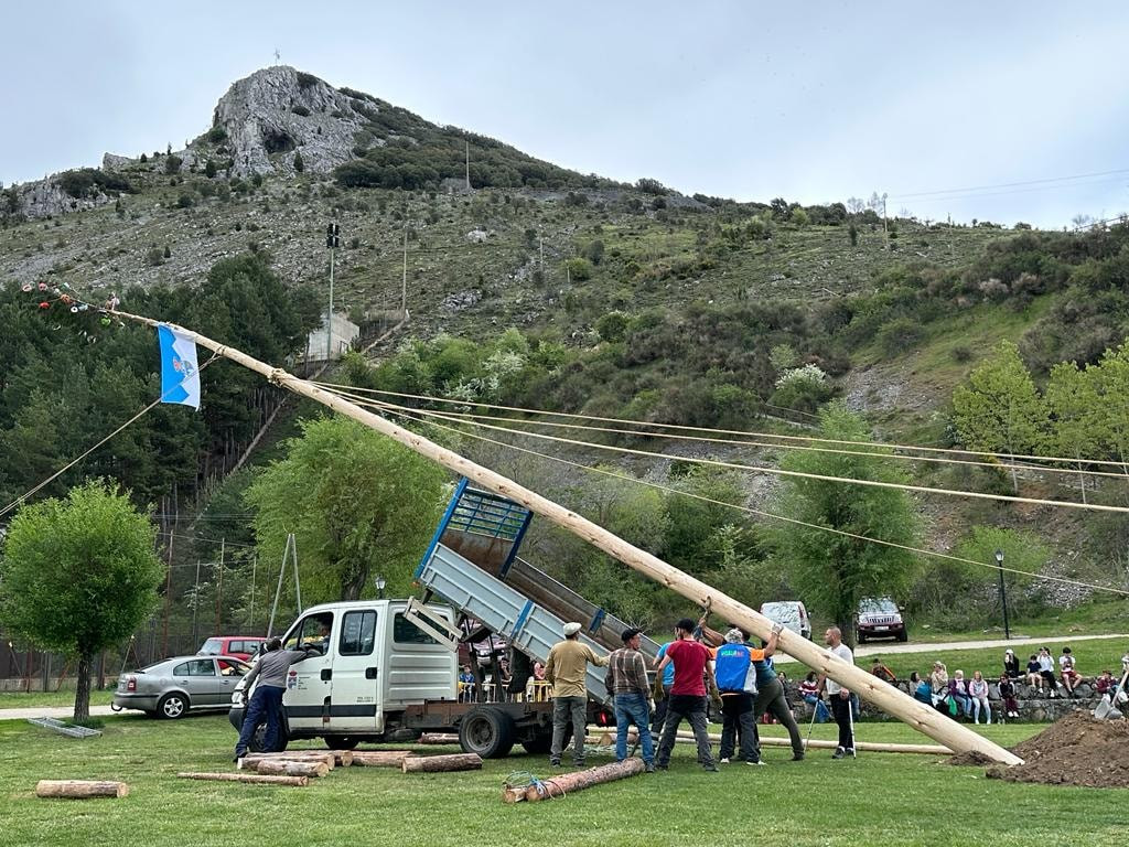 Pinada del mayo velilla 2023 10