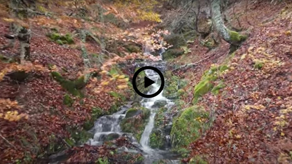 Cascada lillo redi mejo