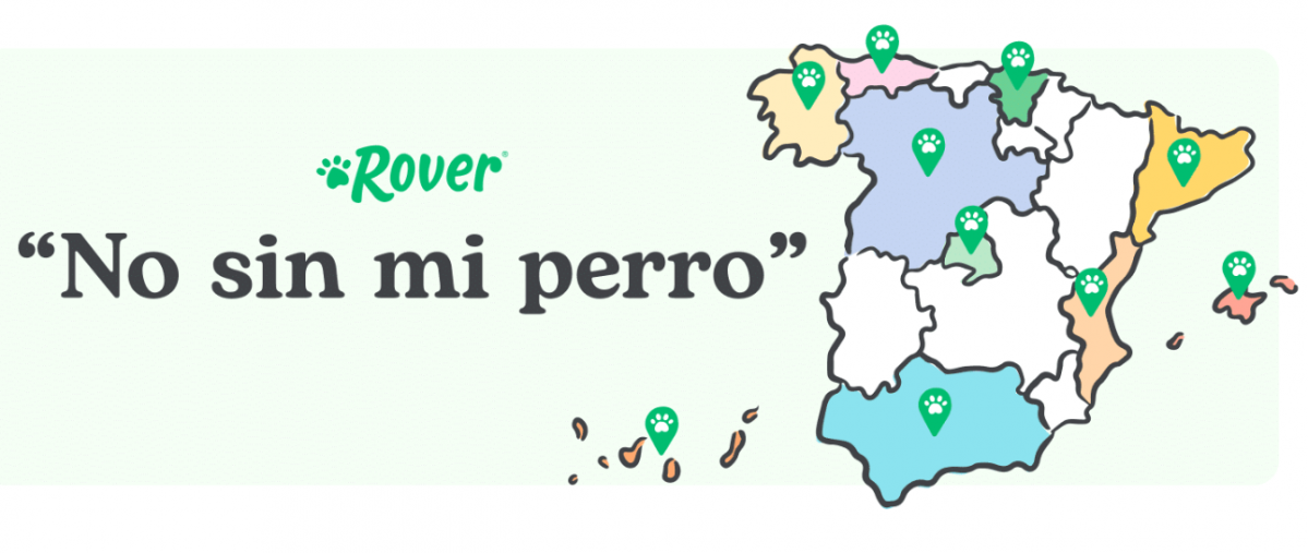 Perro rover.com 2