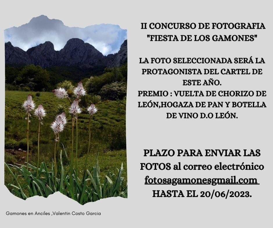 Cartel concurso fotografia fiesta de los gamones