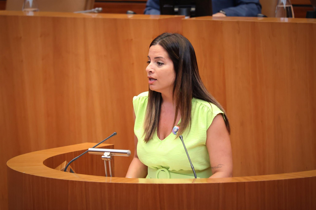 Nuria Rubio procuradora PSOE