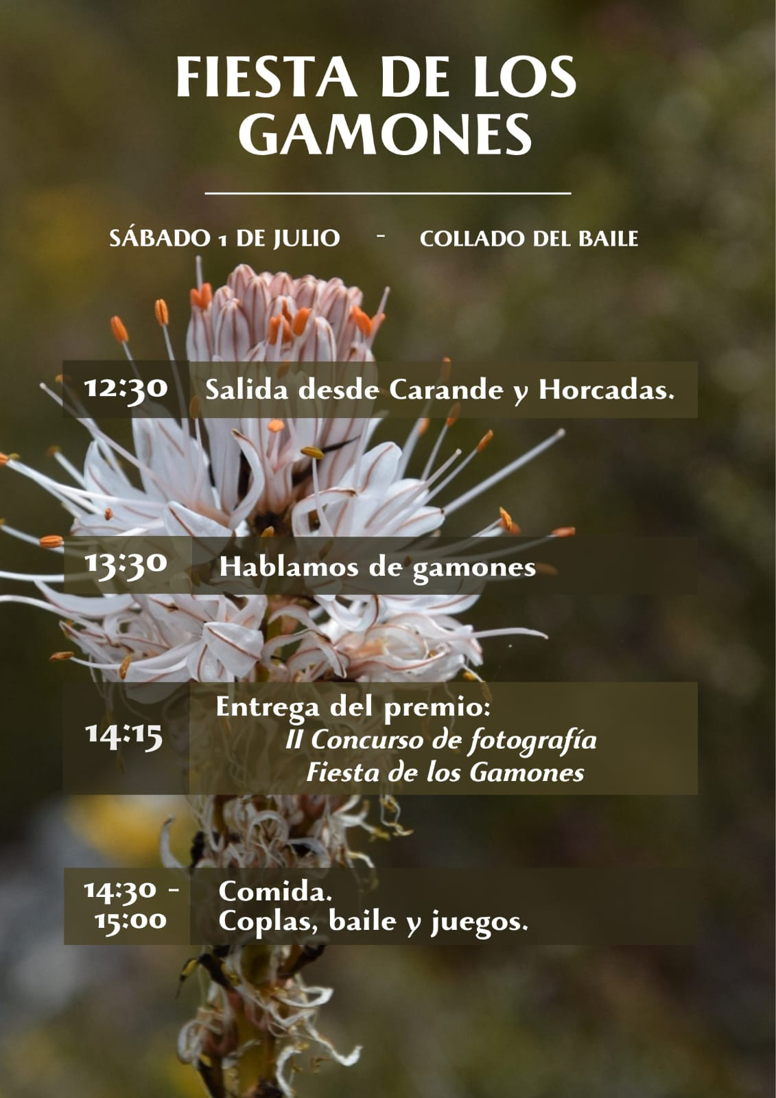 Programa