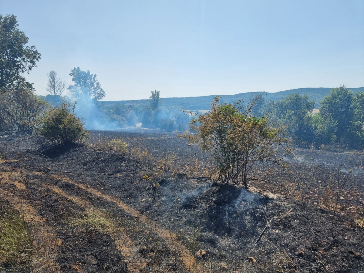 Incendio cabrera de almanza 2023 (2)