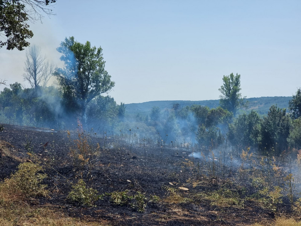 Incendio cabrera de almanza 2023 (6)
