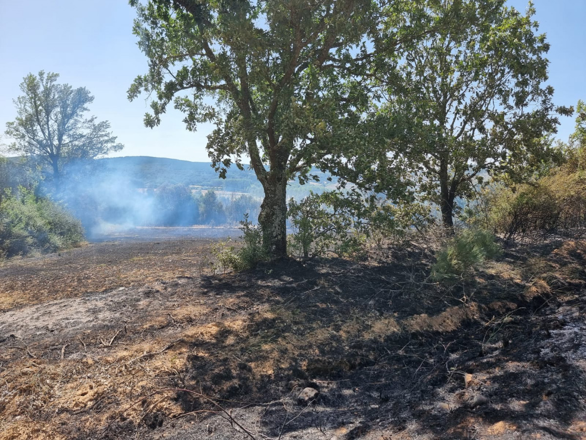 Incendio cabrera de almanza 2023 (3)