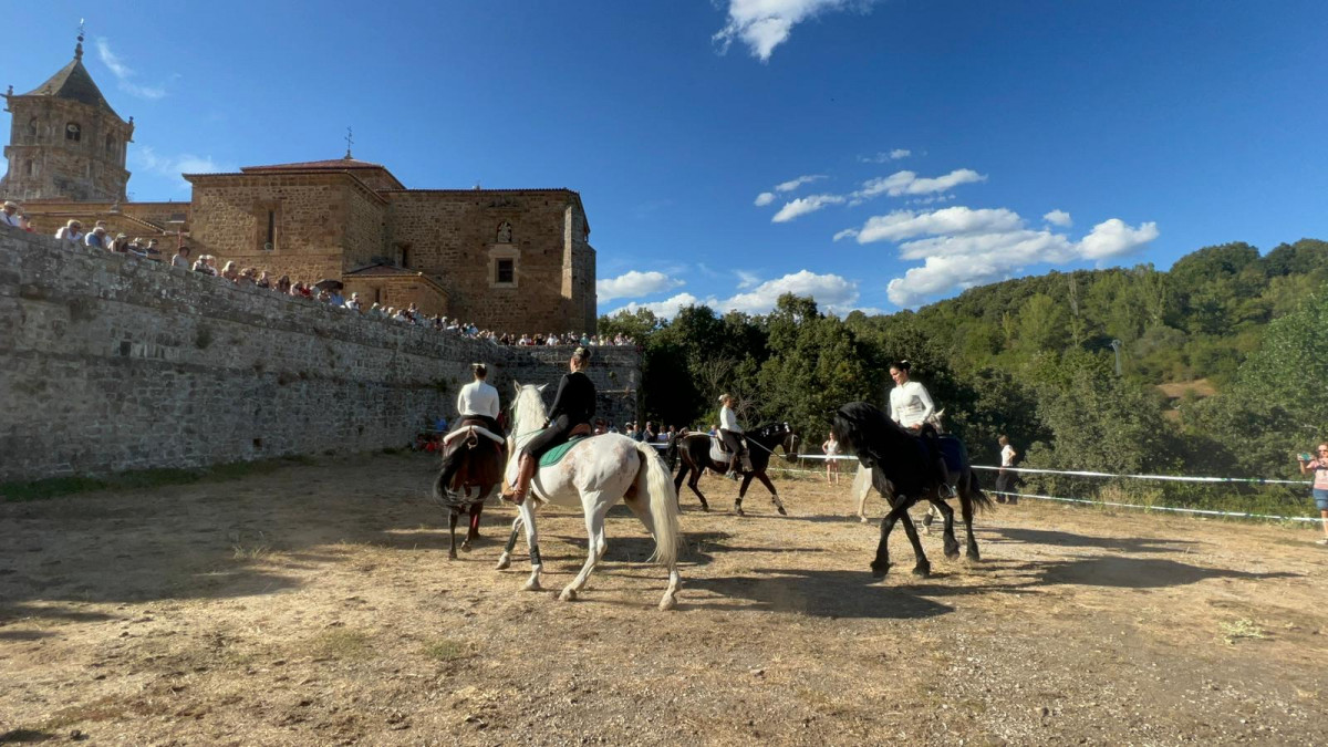 Espectaculo ecuestre romeria del veraneante 2023 (2)