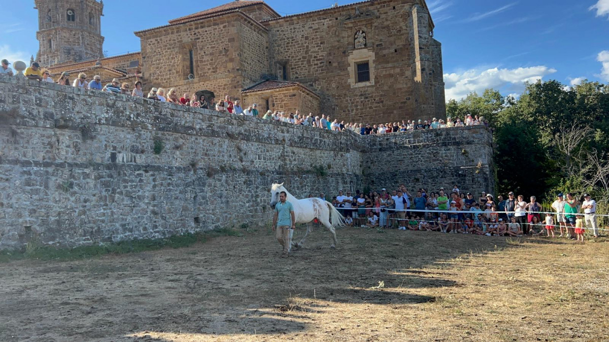 Espectaculo ecuestre romeria del veraneante 2023 (10)