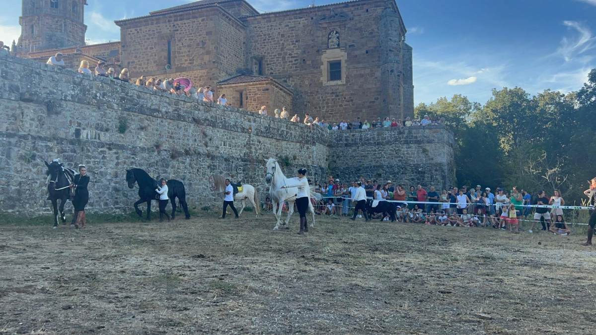 Espectaculo ecuestre romeria del veraneante 2023 (21)