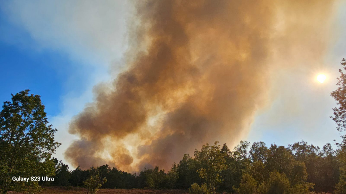 Incendio valporquero 6