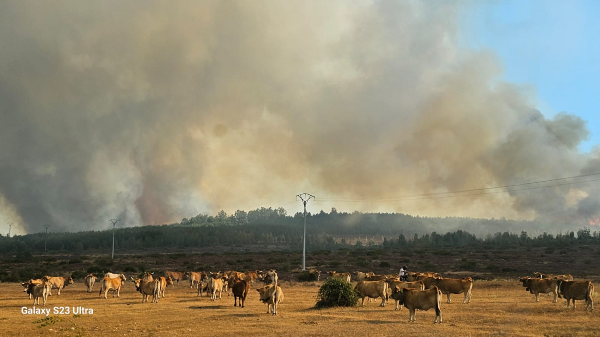 Incendio valporquero 4