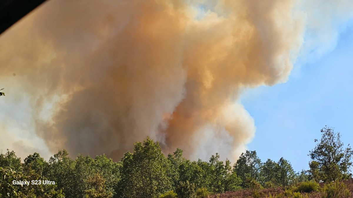 Incendio valporquero 2