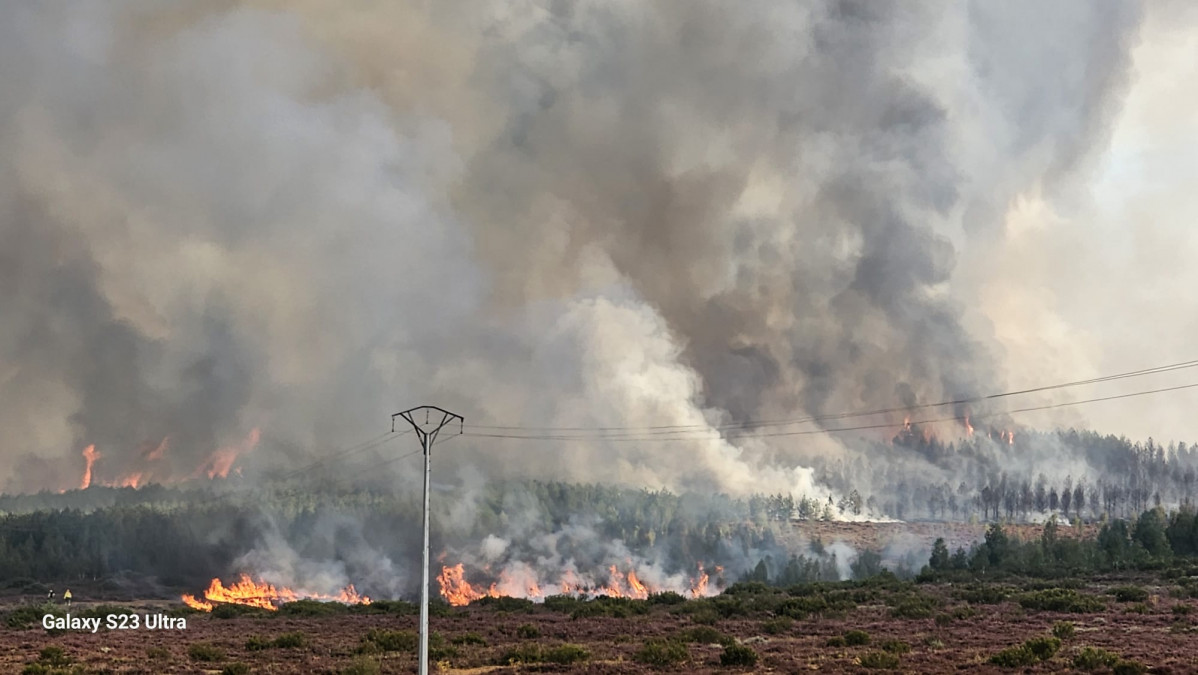 Incendio valporquero 20