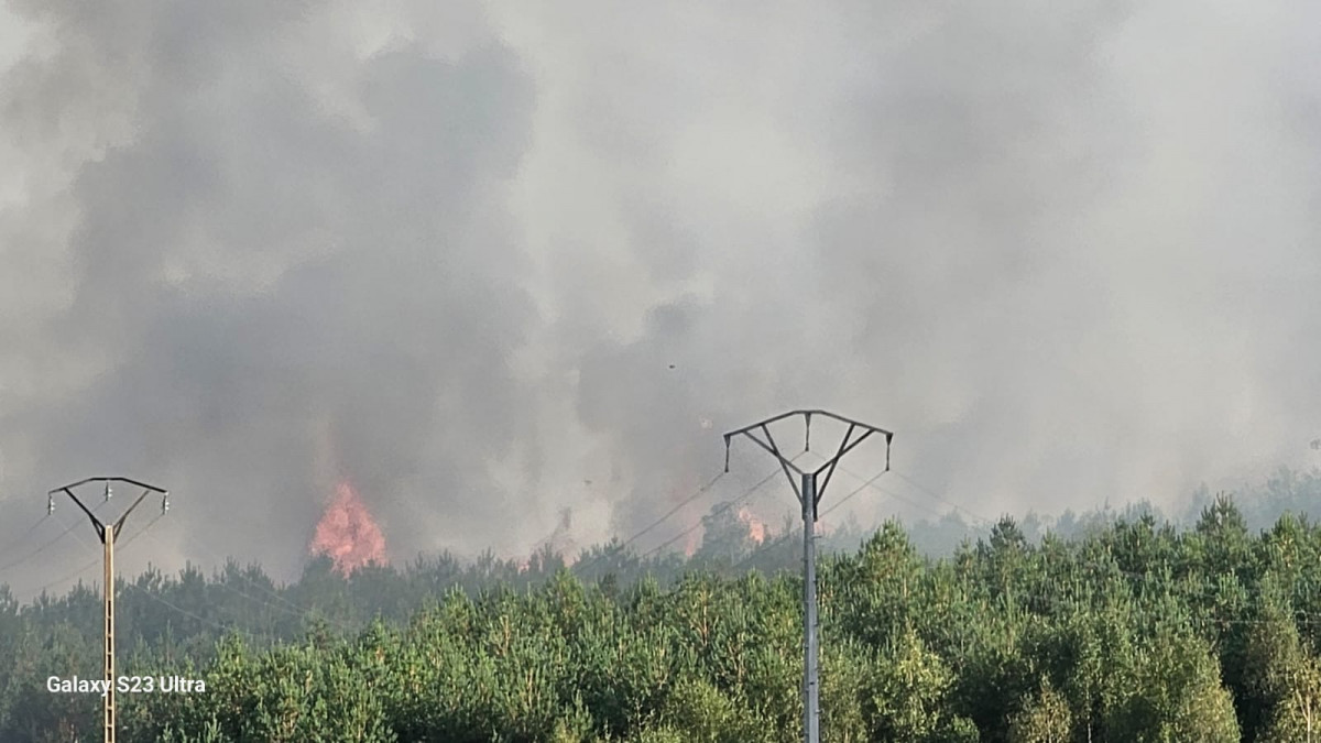 Incendio valporquero 14