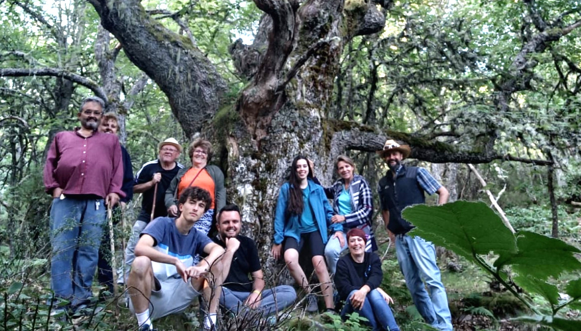 Bosque experiencia, inmersión en el Monte de los Frailes, La Urz