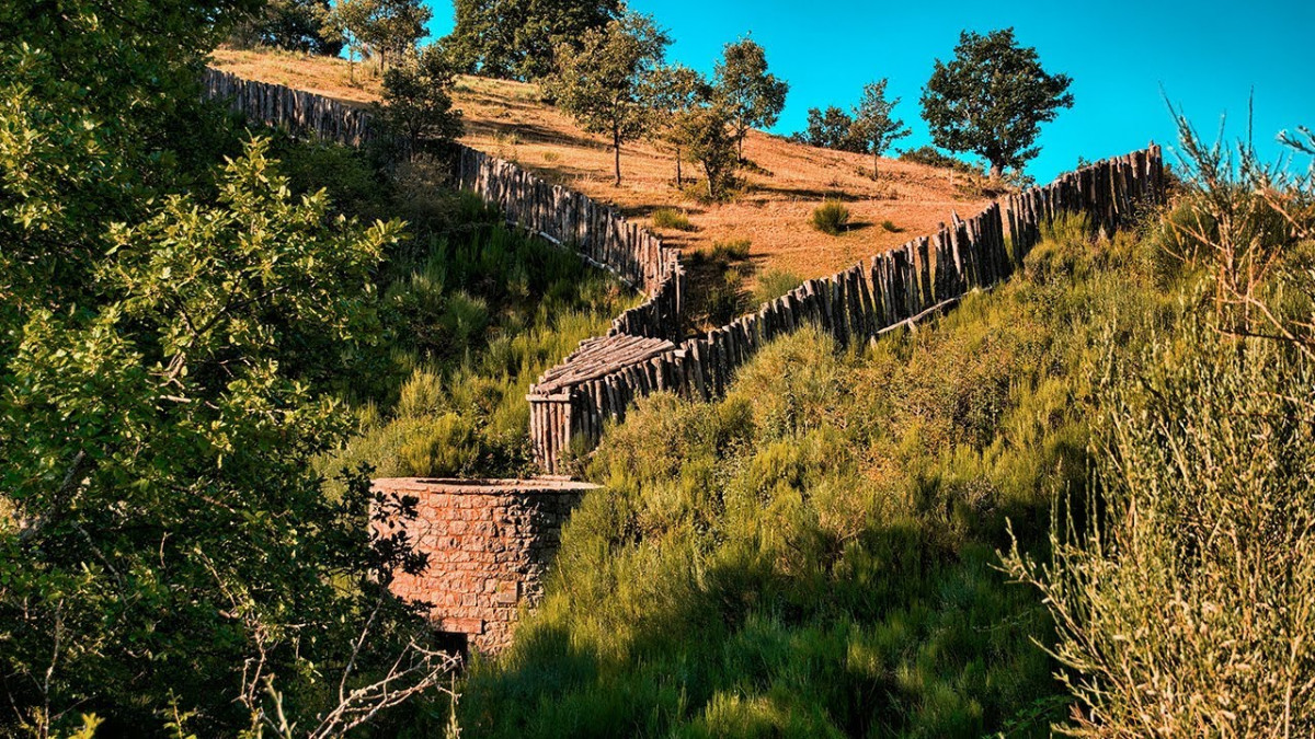 Corral de los lobos prioro