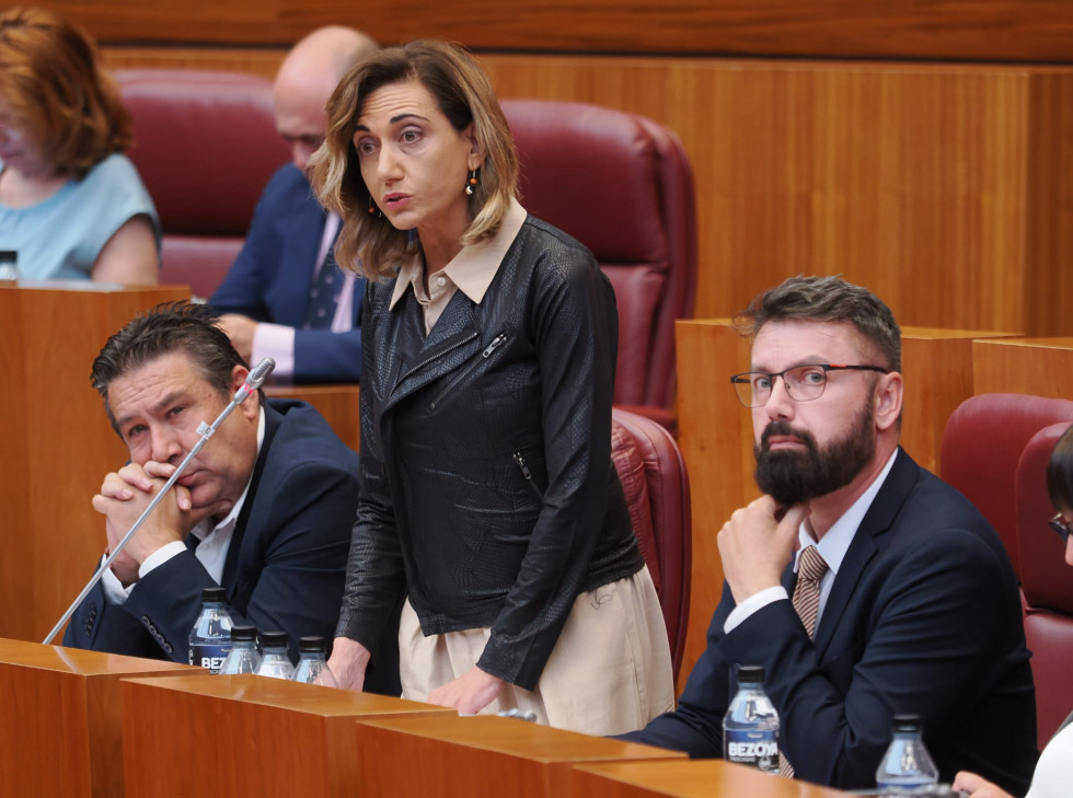 La procuradora de UPL, Alicia Gallego 2