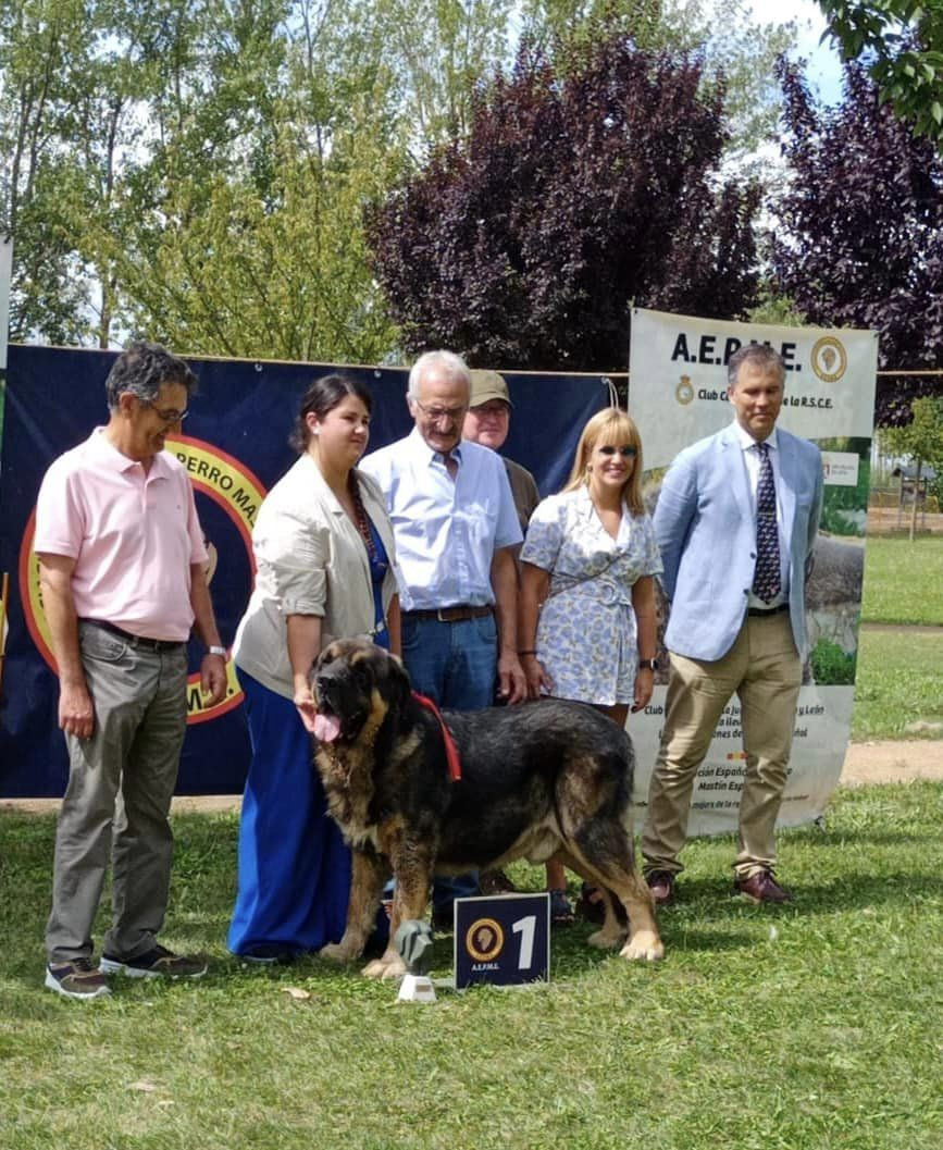 Laura sabero mastin campeon de espau00f1a veterano (2)