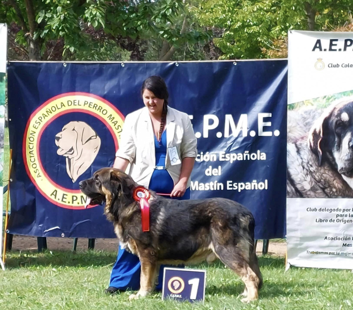 Laura sabero mastin campeon de espau00f1a veterano