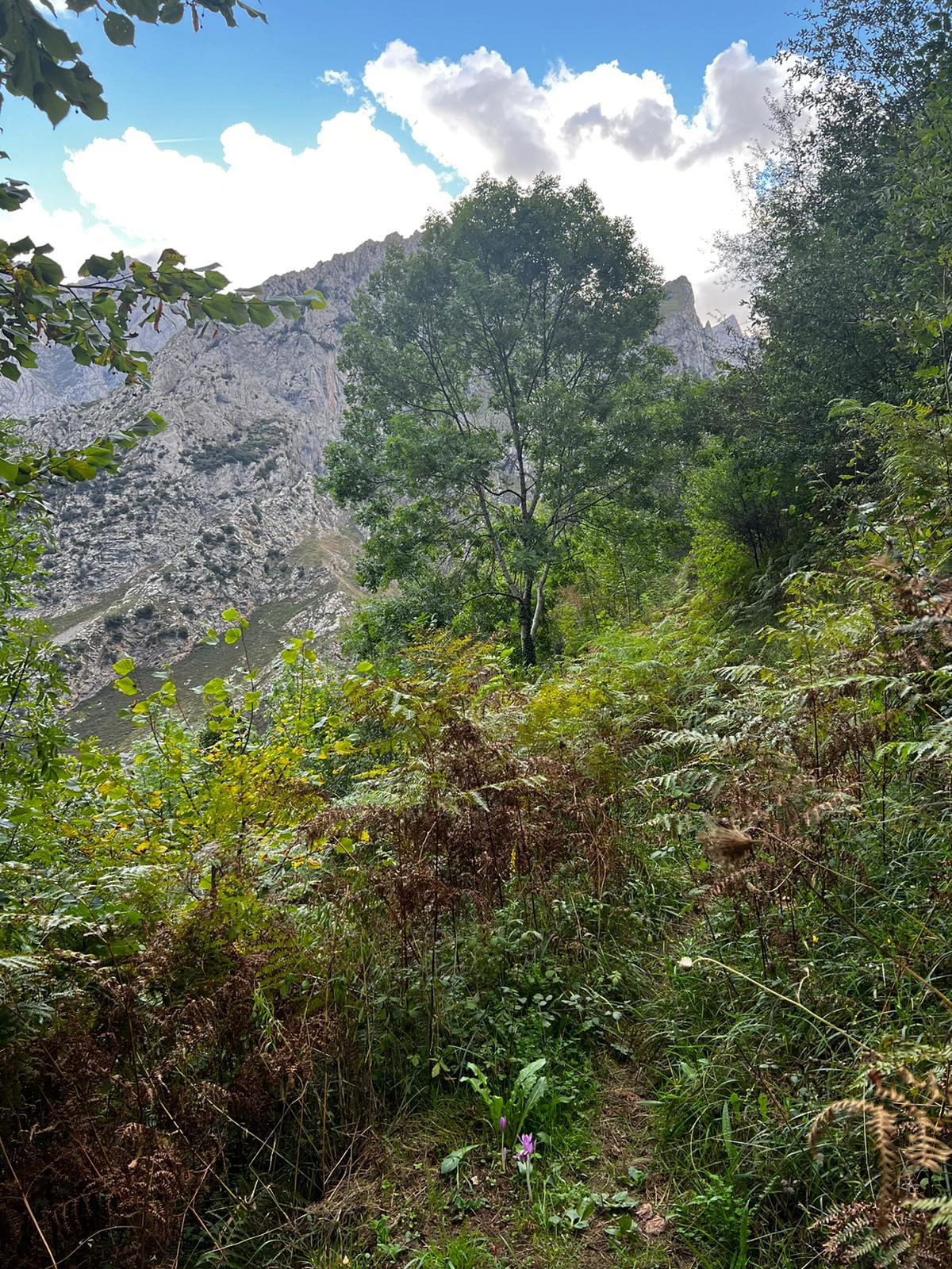 Caminos cerrados Picos de Europa 2