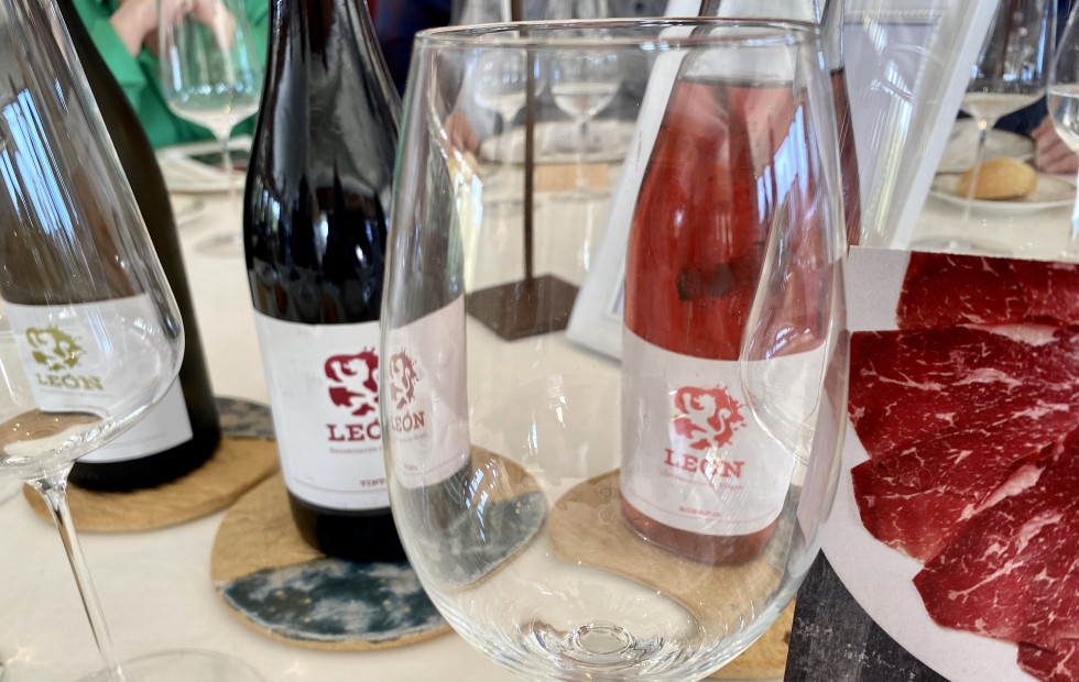 Vinos genéricos de la DO León en una actividad divulgativa