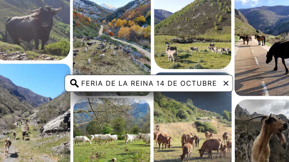 Feria de la reina villafrea